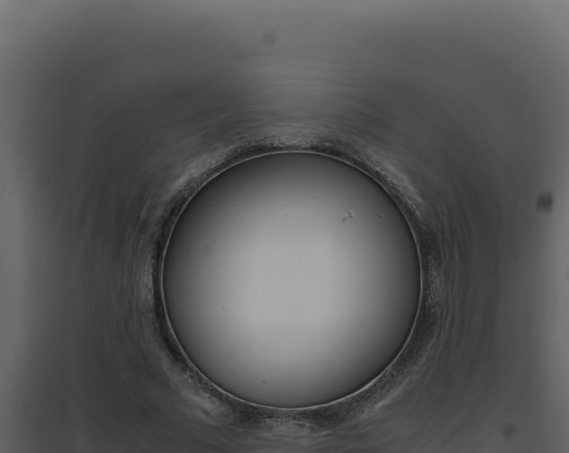 X0000094820681200711161028