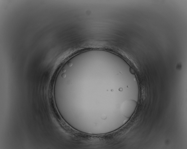 X0000094820682200711161028
