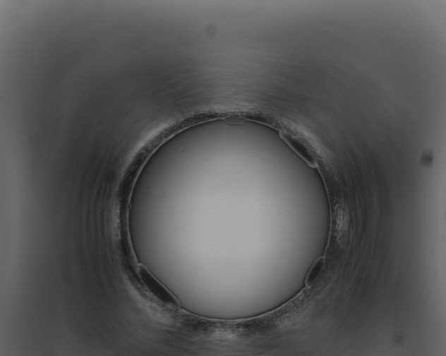 X0000094820684200711161028