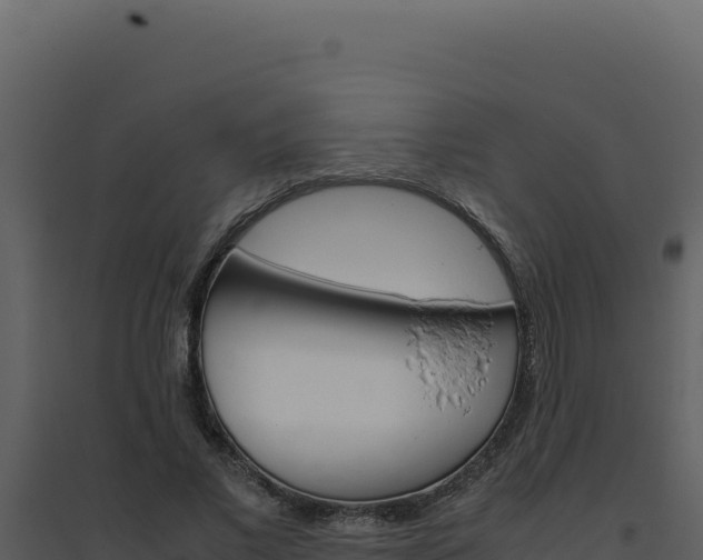 X0000094820685200711161028