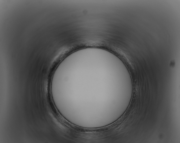 X0000094820686200711161028