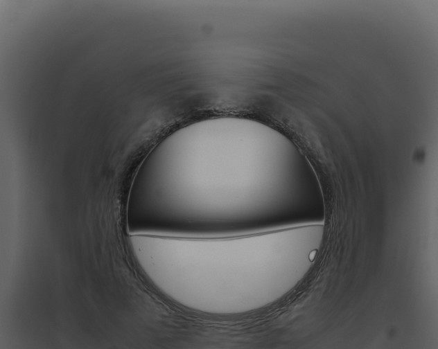 X0000094820689200711161028