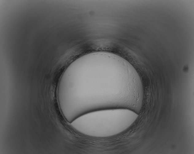 X0000094820695200711161028