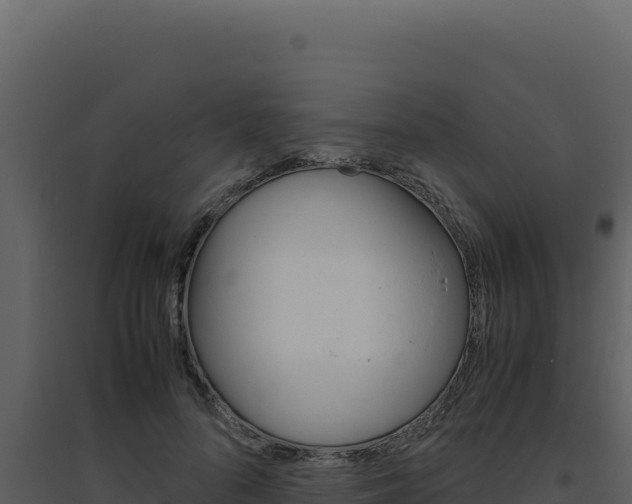X0000094820696200711161028
