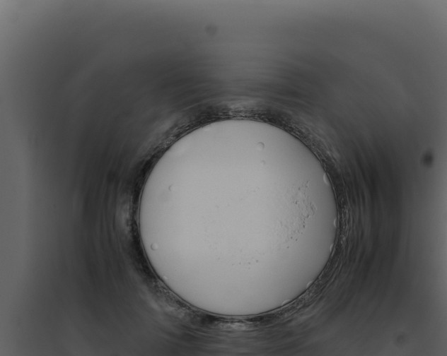 X0000094820698200711161028