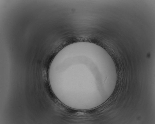 X0000094820699200711161028