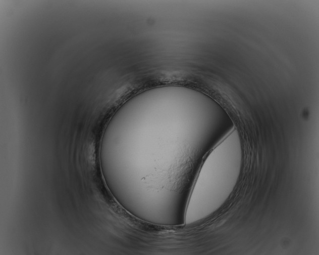 X0000094820700200711161028