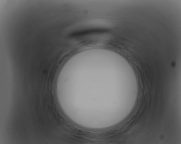 X0000094820705200711161028
