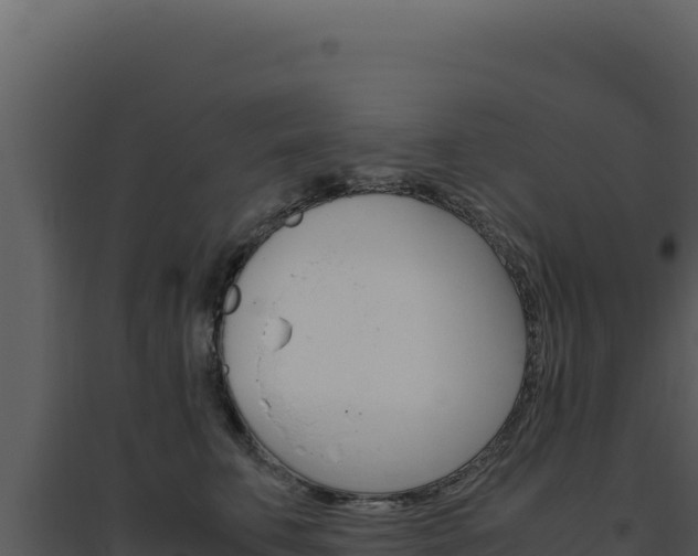 X0000094820711200711161028