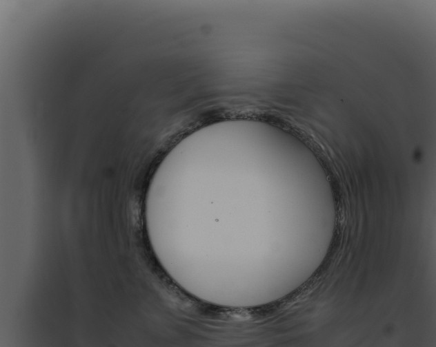 X0000094820715200711161028