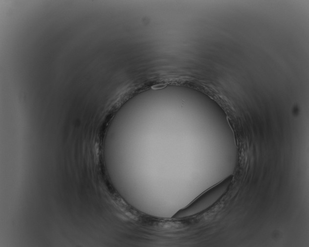 X0000094820716200711161028
