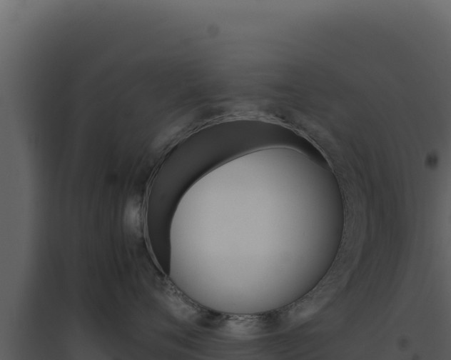 X0000094820720200711161028