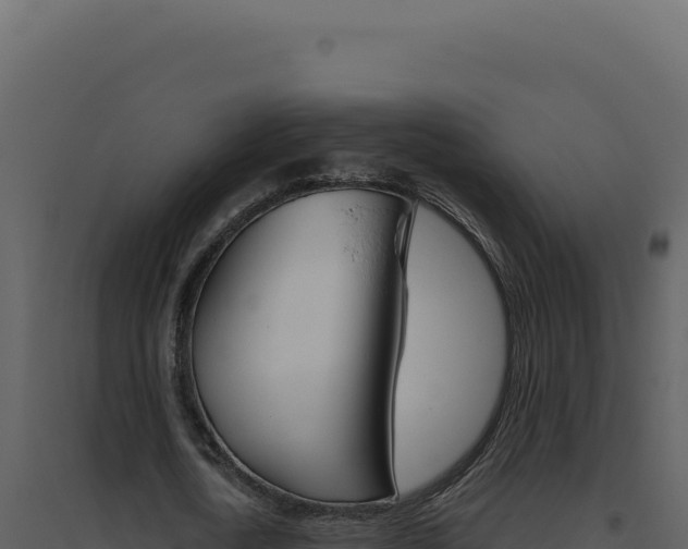 X0000094820722200711161027