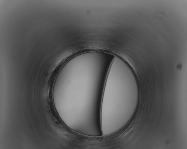 X0000094820723200711161027