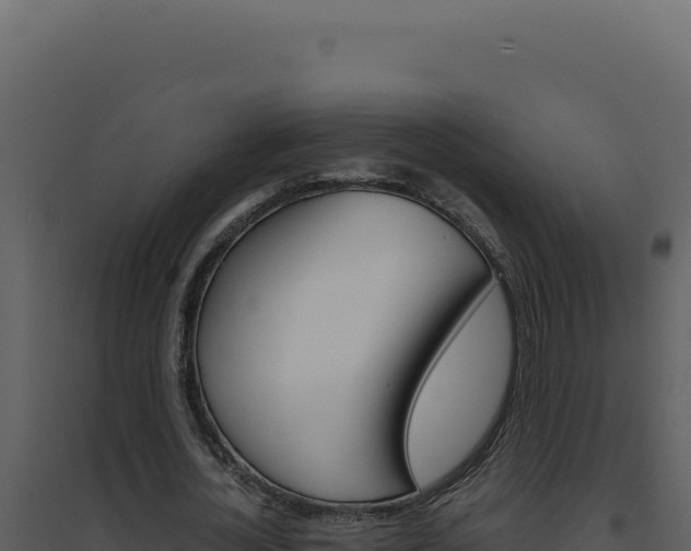 X0000094820724200711161027