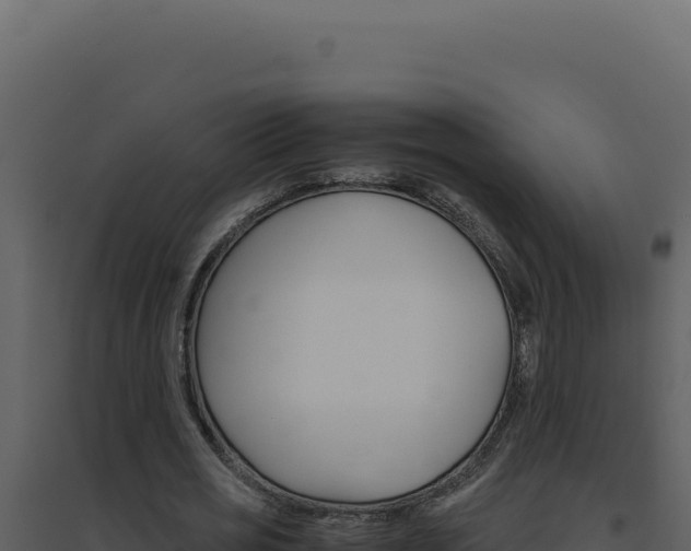 X0000094820725200711161027