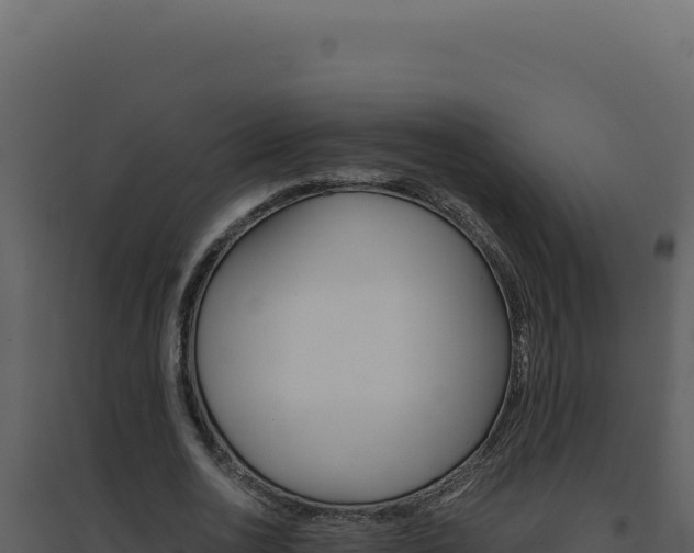 X0000094820726200711161027