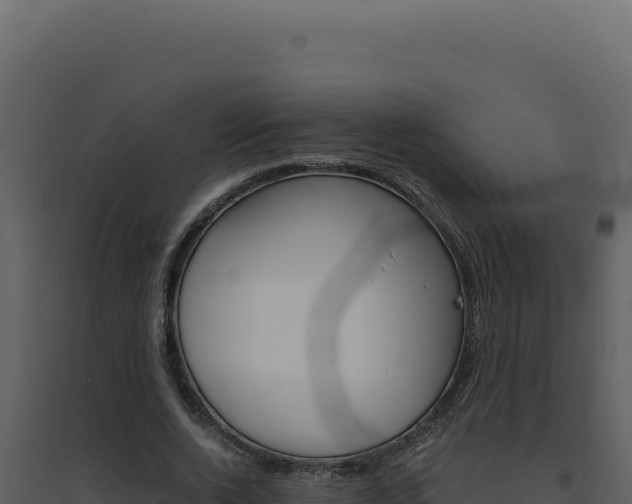 X0000094820728200711161027