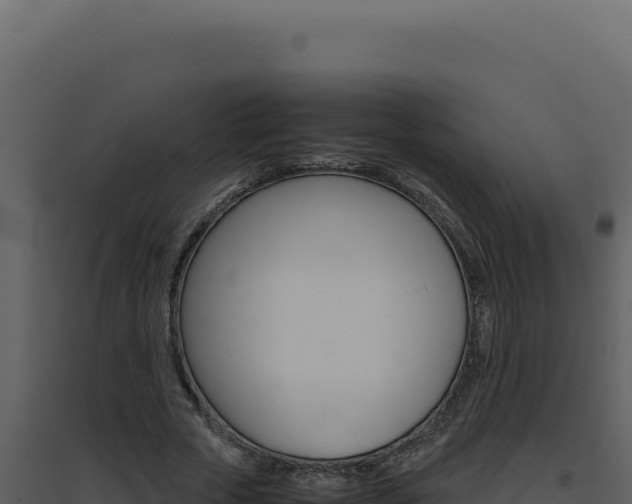 X0000094820729200711161027