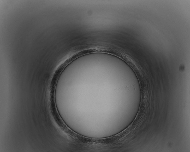 X0000094820730200711161027