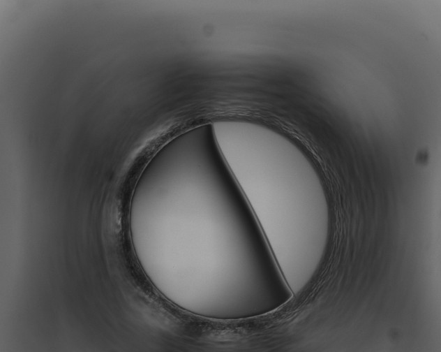 X0000094820731200711161027