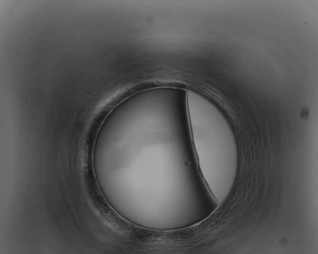 X0000094820732200711161027