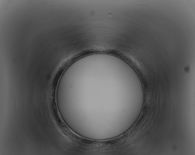 X0000094820736200711161027