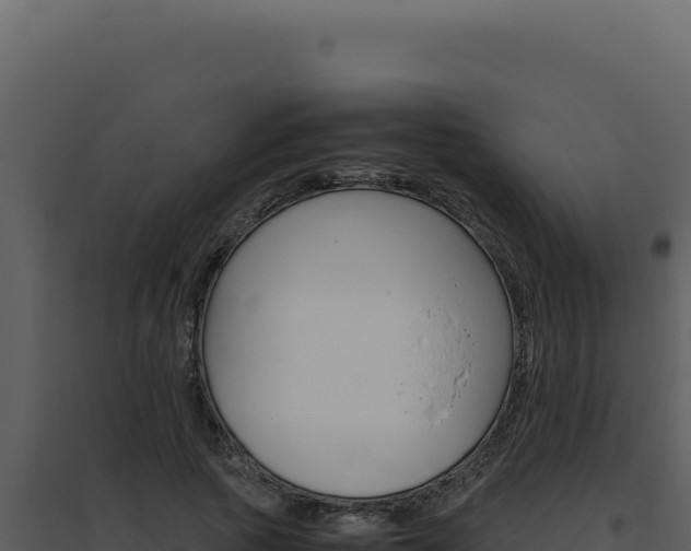X0000094820737200711161027