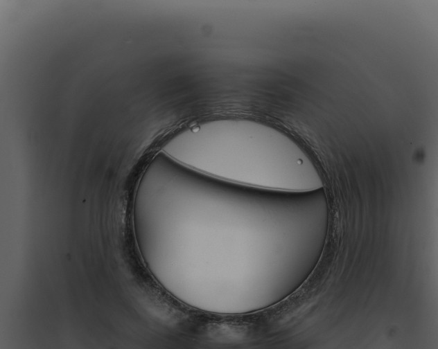 X0000094820739200711161027