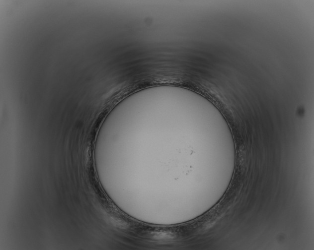 X0000094820741200711161027