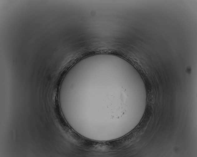 X0000094820742200711161027