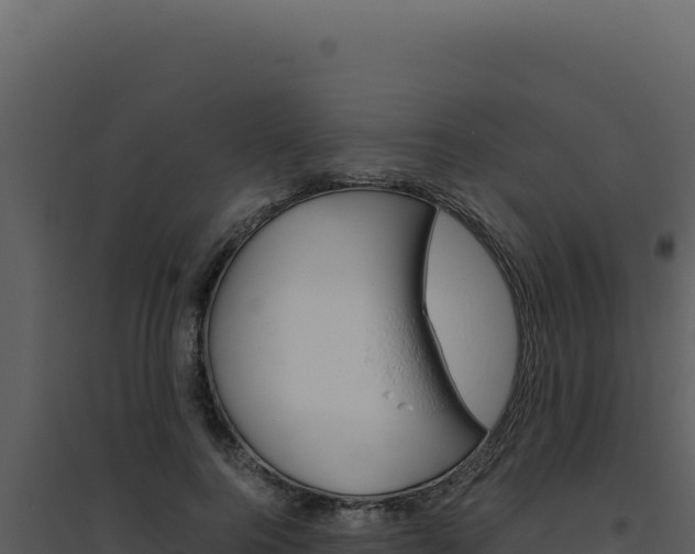 X0000094820744200711161027