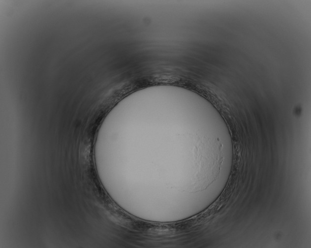 X0000094820745200711161027