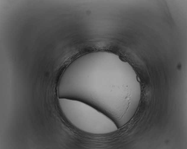 X0000094820746200711161027