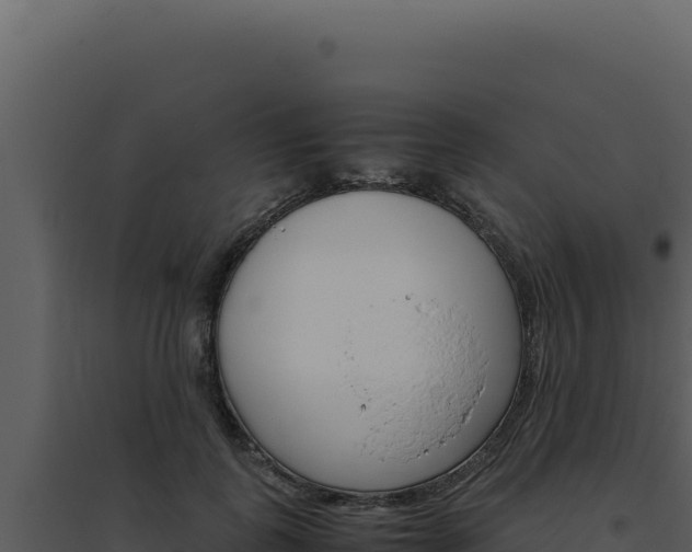 X0000094820747200711161027