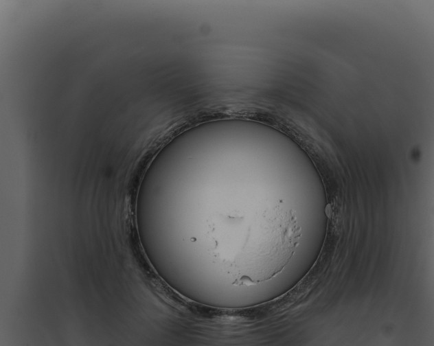 X0000094820748200711161028