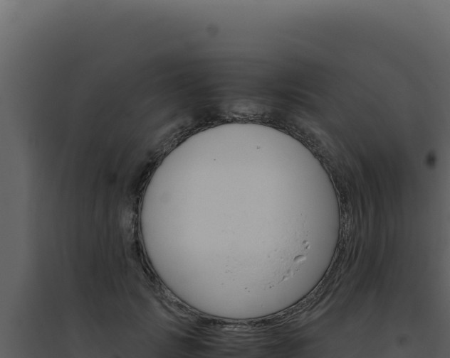 X0000094820749200711161028