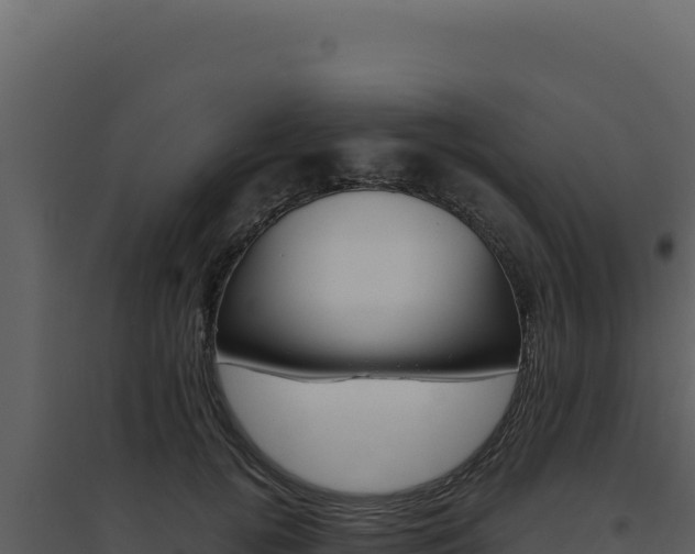 X0000094820752200711161028