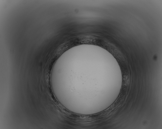 X0000094820753200711161028