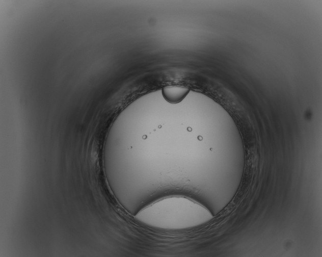 X0000094820754200711161028
