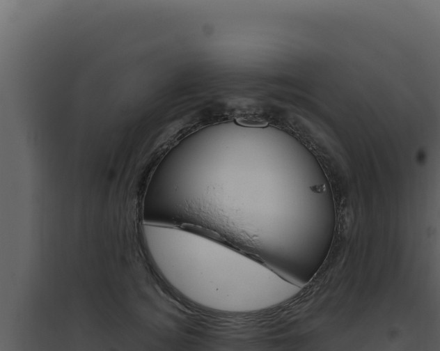 X0000094820756200711161028