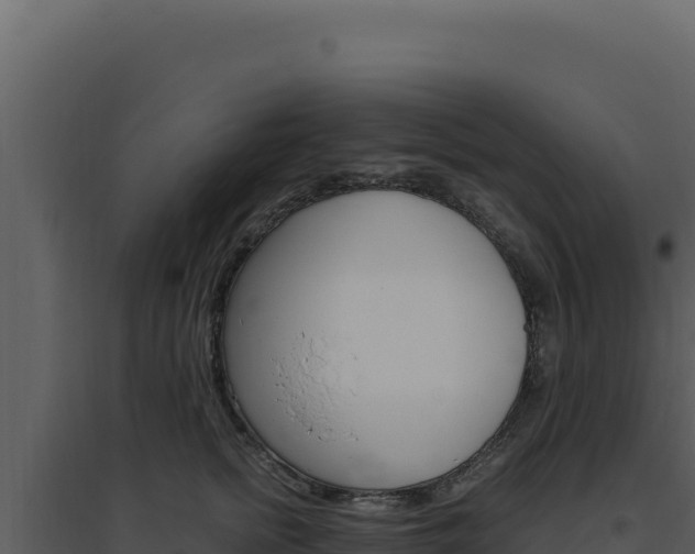 X0000094820758200711161028