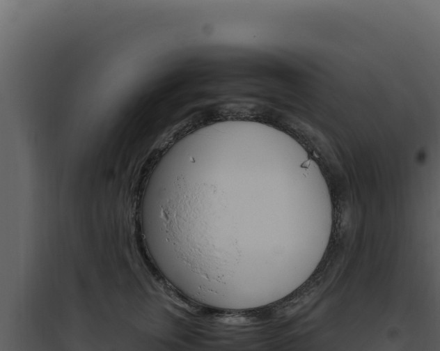 X0000094820759200711161028