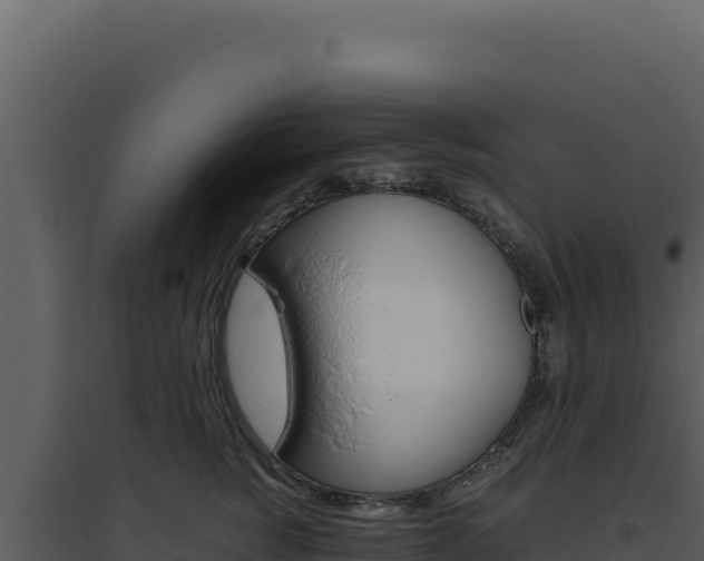 X0000094820760200711161028