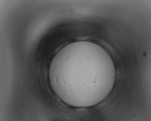X0000094820761200711161028