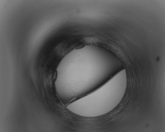 X0000094820762200711161028