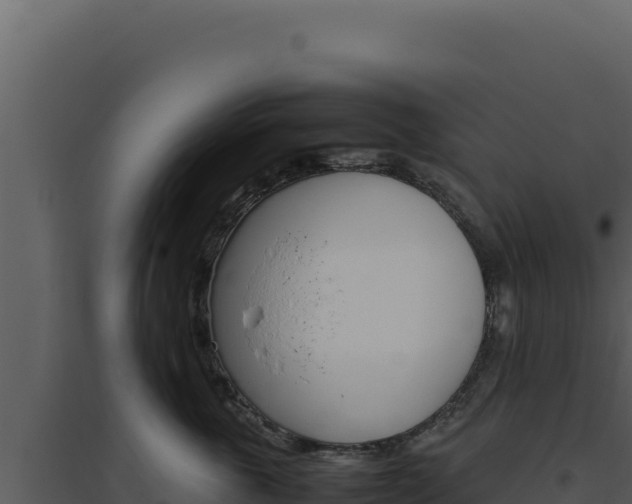 X0000094820763200711161028