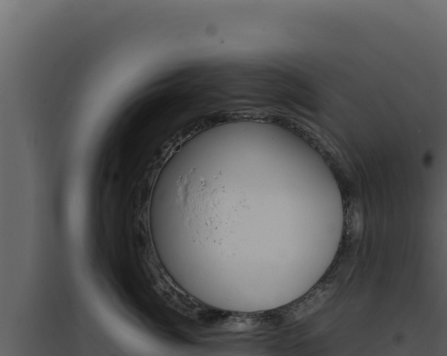 X0000094820764200711161028