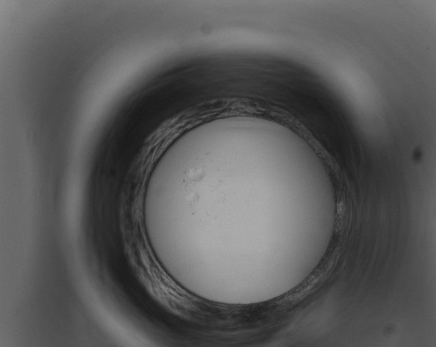X0000094820765200711161028