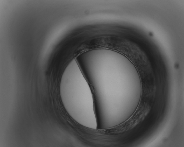 X0000094820766200711161028
